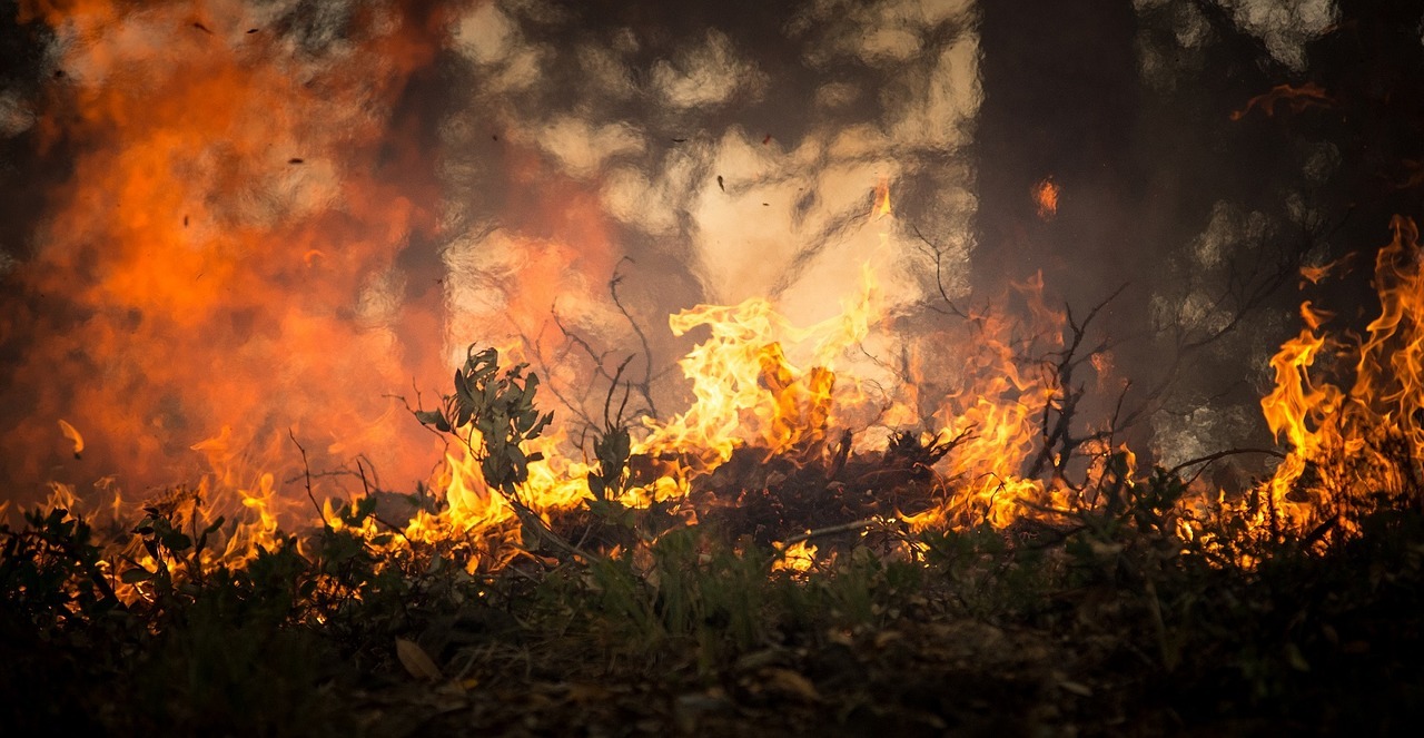 You are currently viewing Голям пожар бушува край Свиленград (ВИДЕО)