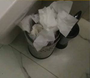 мизерия, хотел