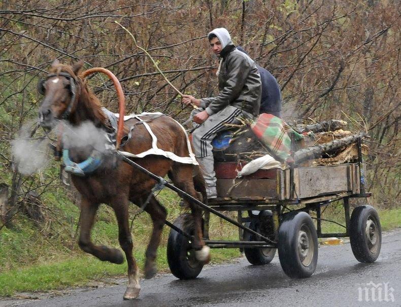 каруца, автобус, деца, пострадали