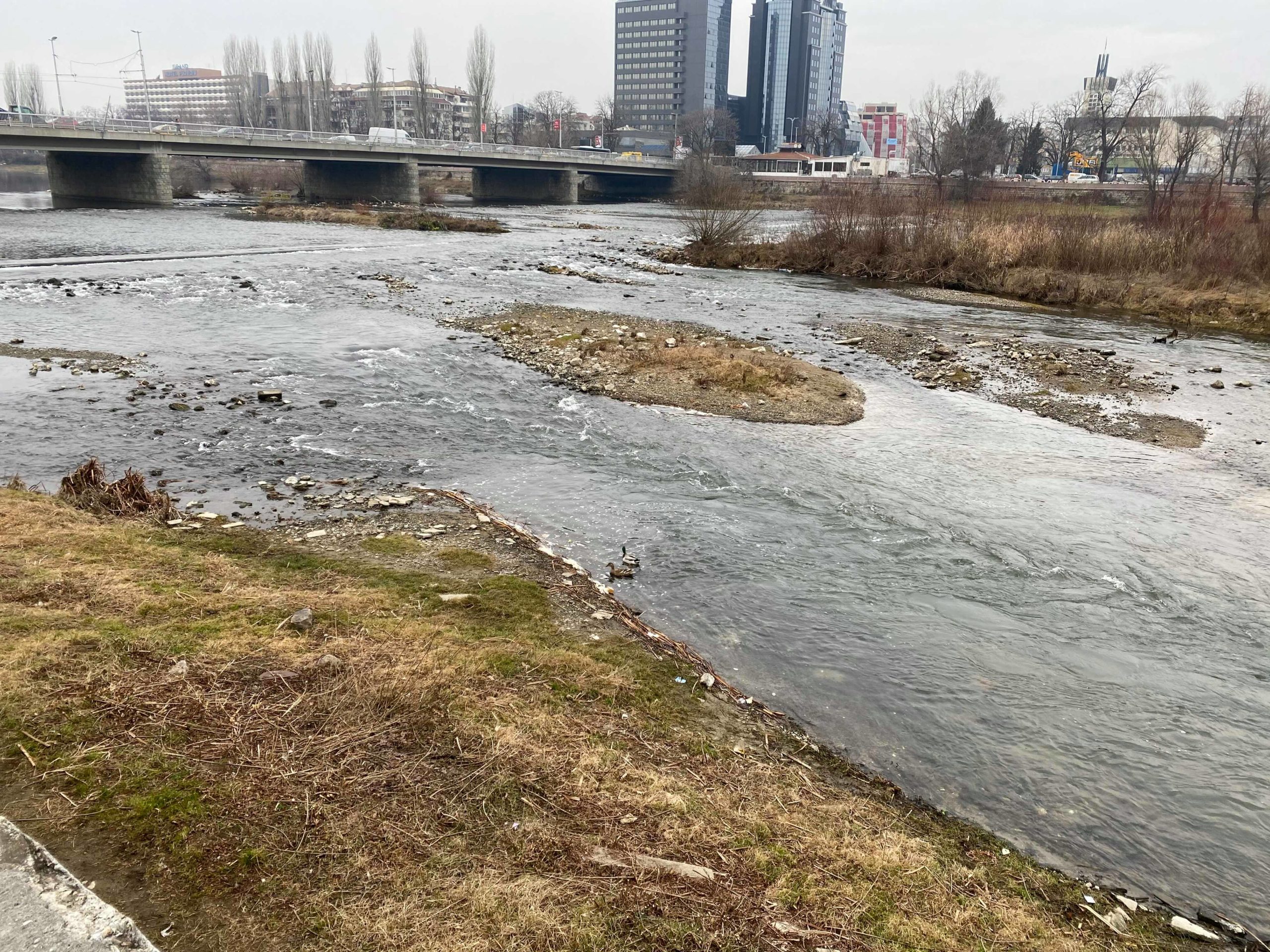 река, Марица, водата, отравяне, екосистема