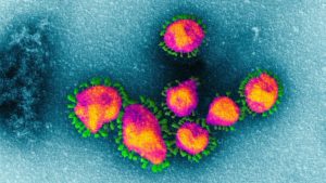 Read more about the article Следим в реално време как се разпространява коронавирусът