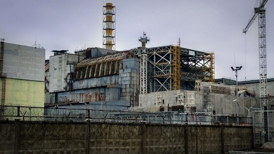 Чернобил, гъби, радиацията