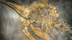Read more about the article Зловещи крилати влечуги с остри зъби обитавали земята преди милиони години