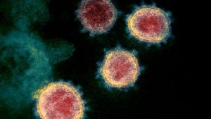 Read more about the article От Щаба обясниха кои са „враговете“ на коронавируса