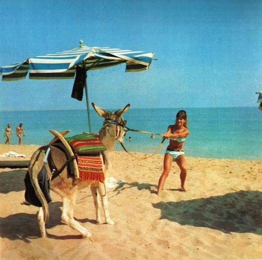 Слънчев бряг, курорт, море