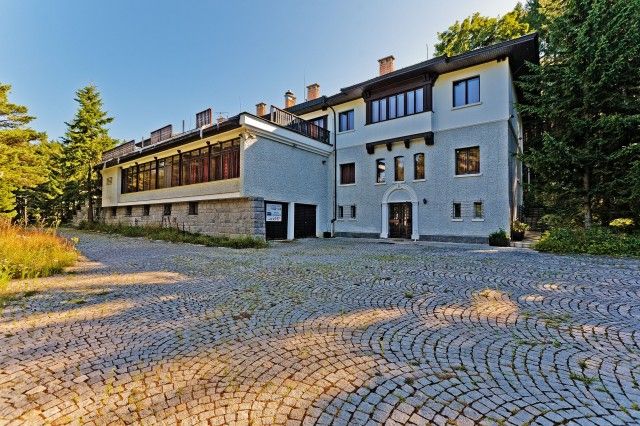 Аглика