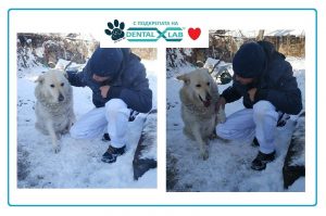 Read more about the article Трагедия с щастлив край: Намушканото куче Белчо намери нов дом