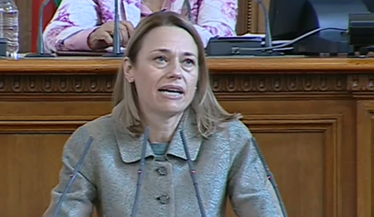 Ива Митева, Закон за НСО, спорове, парламент, Народно събрание, Ива Митева