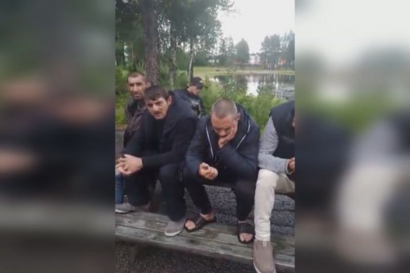 Десетки български гастарбайтери бедстват в Швеция, измамени от оферта за боровинки