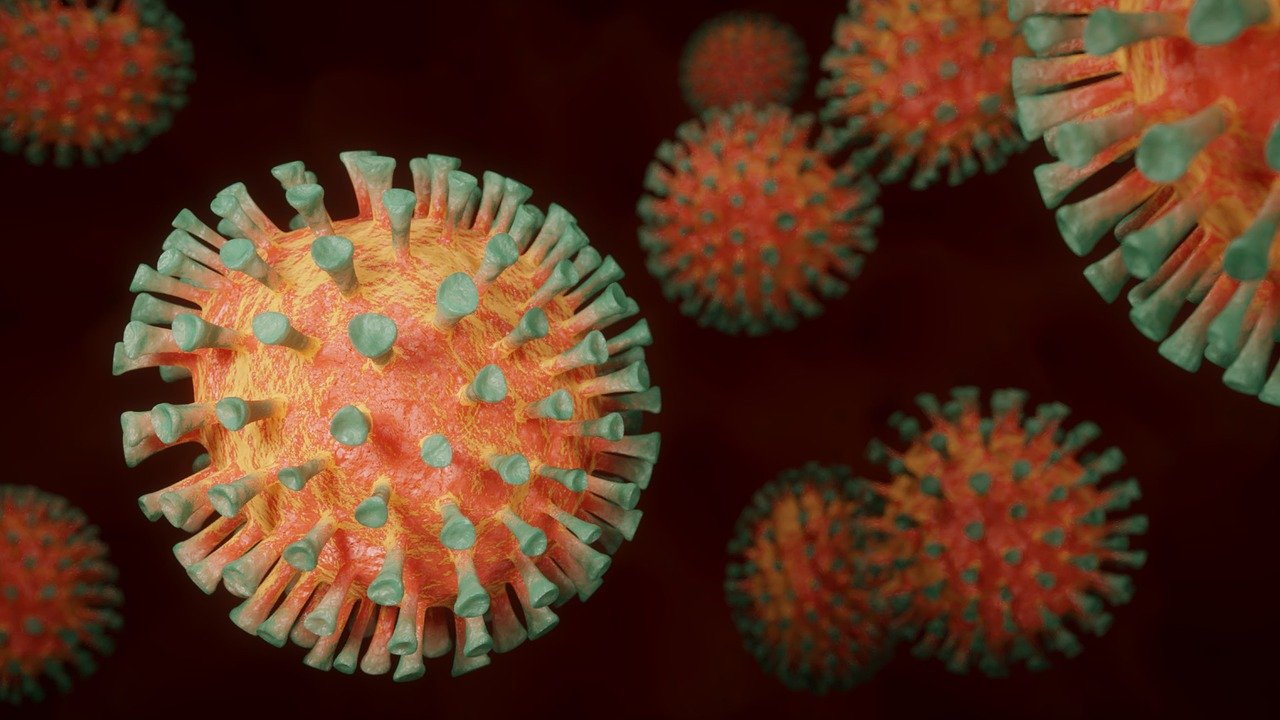 коронавирус , заразени, починали, данни