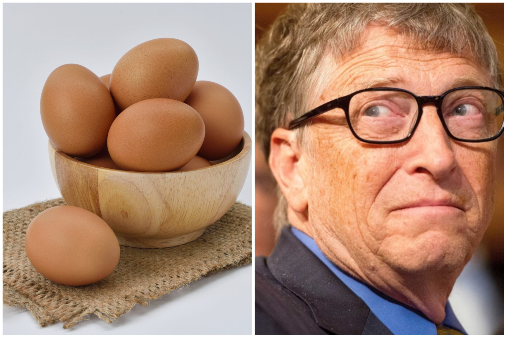 Бил Гейтс купува фирма за изкуствени яйца