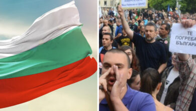 пилон ДБ рожен Шкварек Нешка Робева