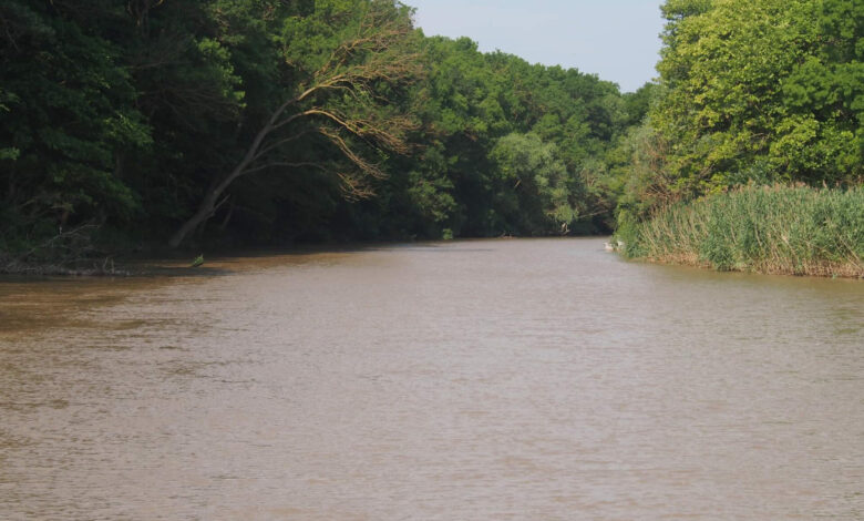 Камчия, издирване, деца, водолази