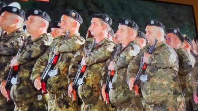 Шкварек демографията