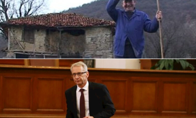 жълтопаветна Денков Слави