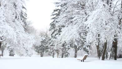 снегът валежи