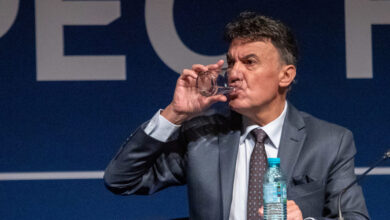 БФС Михайлов
