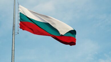 Шкварек за България