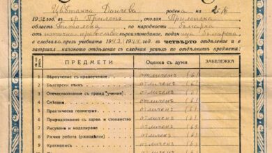 Шкварек