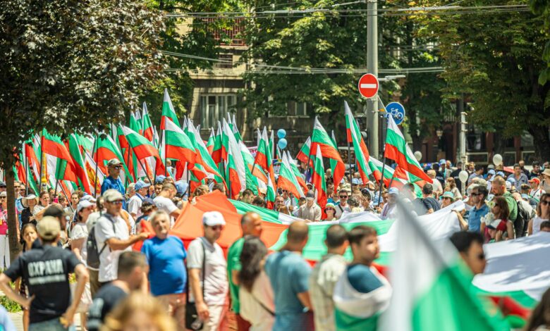 организации