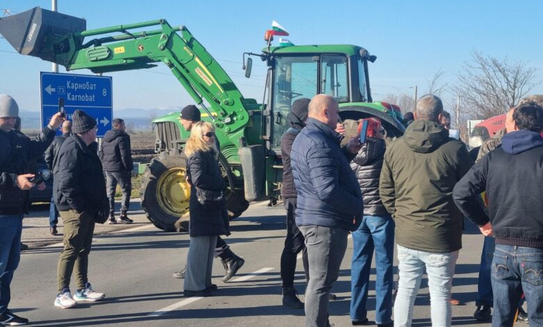 животновъди, протест, овце