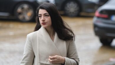 Лена Бориславова, обвинение, имунитет
