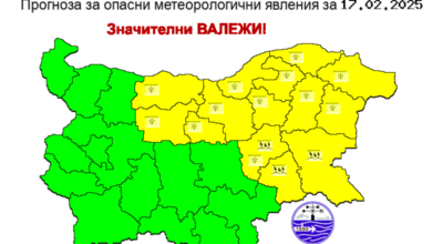 жълт код, сняг, студ, време