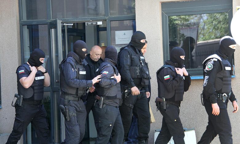 Митница, Пловдив, акция, операция, МВР< Жандармерия