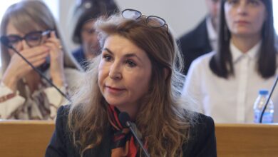 Богдана Панайотова, главен архитект, небостъргач, строеж