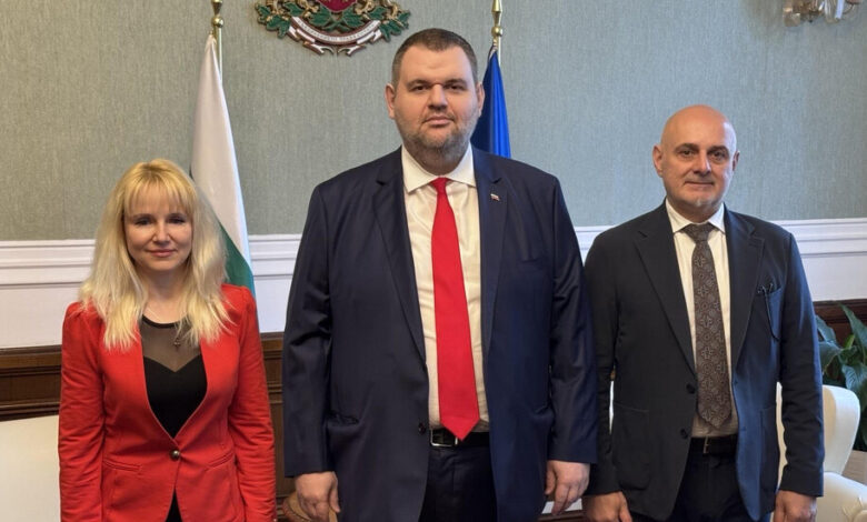 Ваня Василева, Делян Пеевски, ДПС-ДПС, депутат, група