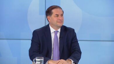 Борислав Цеков, решението, конституционен съд, Румен Радев, евро, референдум