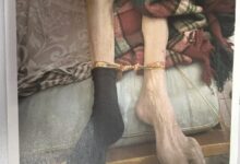 Ягода, дом на ужасите,