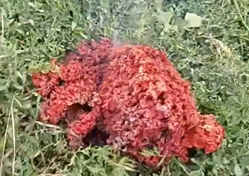 НЛО, Якоруда
