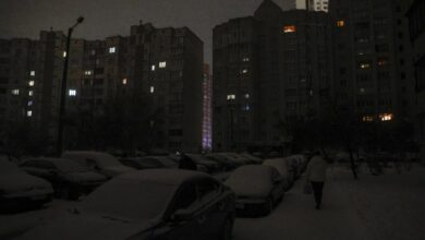 Брянска област, Русия, Украйна, война, партизани