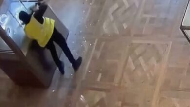 Лувъра, обир, видео, кадри