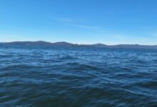 море, рибари, кораб, Созопол, издирване