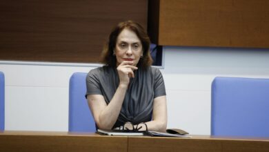 Надежда Нейнски, министър, МВнР, Румен Радев, Украйна, избори