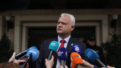 Емил Дечев, Витиня, камион, партия, активист