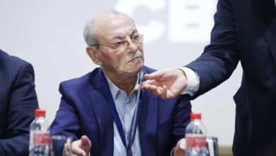 Ахмед ДОган, ДПС, АПС, измама, фирми