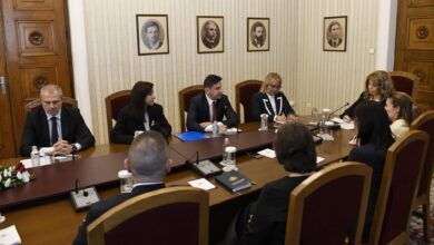 ДПС, консултации, Илияна Йотова, президент