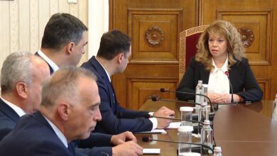 консултации, Илияна Йотова, Прогресивна България