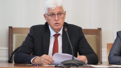 Димитър Стоянов, министър на отбраната, военна помощ, Украйна, война, оръжия