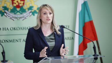 Росица Карамфилова, МОВС, министър, Баба Алинов, строителство, наводнения