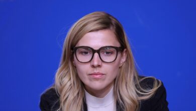Велислава Петрова, министър на външните работи, декларация, Киев коалиция на желаещите