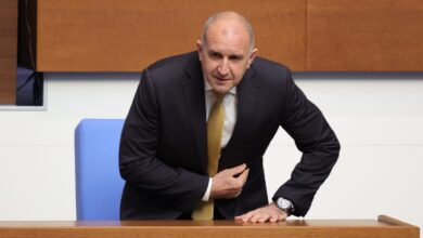 Румен Радев, премиер, Украйна, коалиция на желаещите, декларация, Киев
