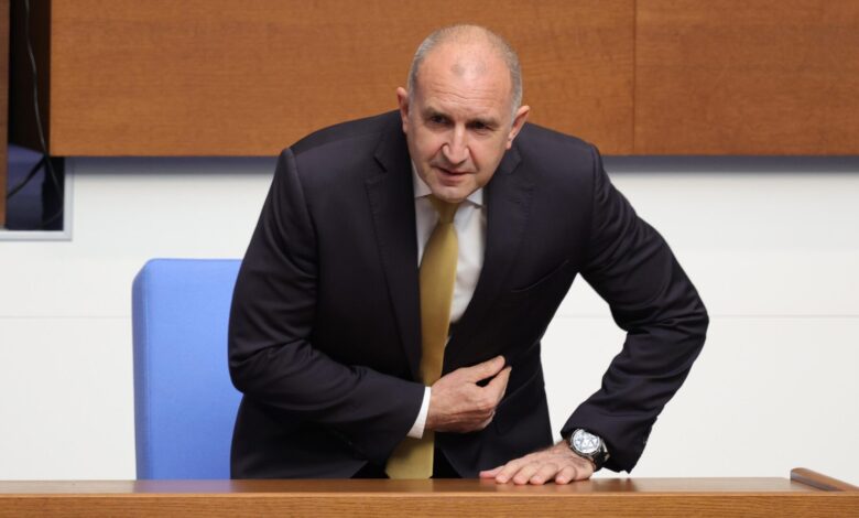 Румен Радев, премиер, Украйна, коалиция на желаещите, декларация, Киев