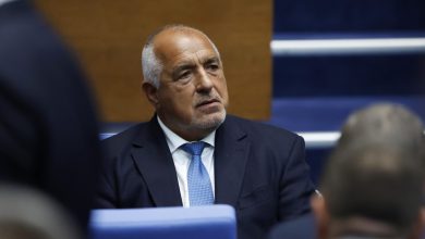 Бойко Борисов, ГЕРБ, президент, кандидатура, правителство, Румен Радев