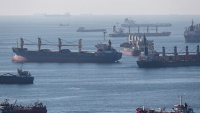 Черно море, зърно кораби